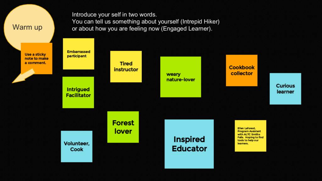 Jamboard frame with 10 sticky notes that read embarassed participant; intrigued facilitator; tired instructor; forest lover; inspired educator; weary nature lover; cookbook collector; curious learner; volunteer, cook; and Ellen Laforest, Program Assistant with ALTC Smith Falls, hoping to find tools to help our learners.